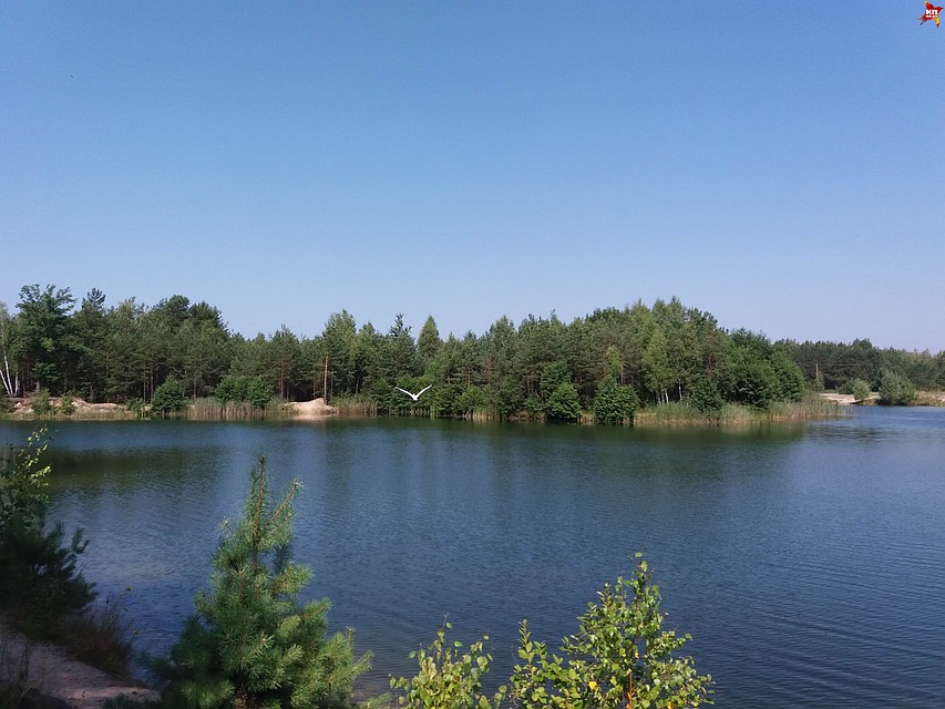 Жаркие выходные не обходятся без ЧП на воде.