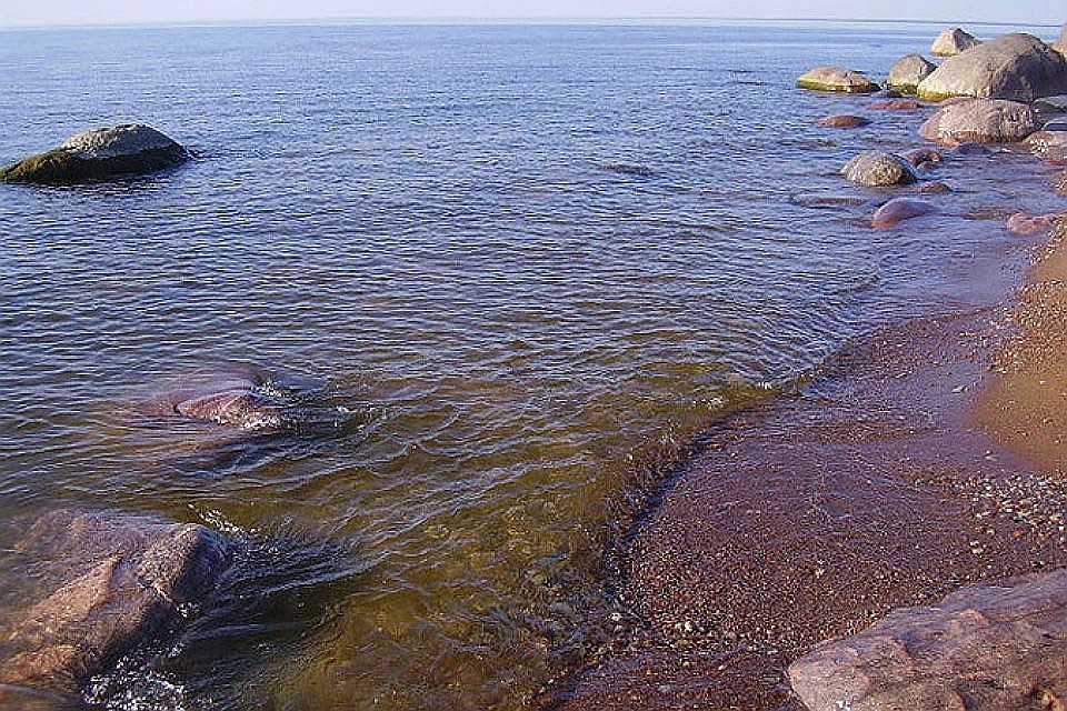 Пока на побережье Балтийского моря у Литвы нет условий для развития токсичных сине-зеленых водорослей.