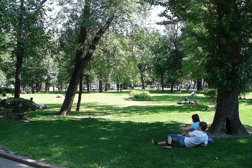 Семь зеленых зон получили имена. Фото: Архив "КП"