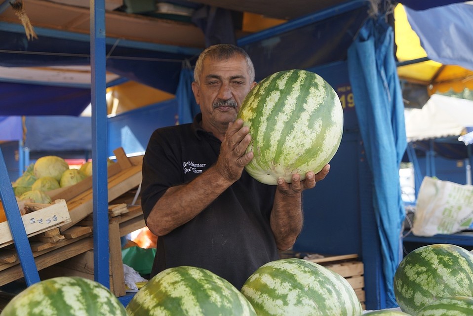 В августе самый главный вопрос, это где и как выбрать нормальный арбуз?