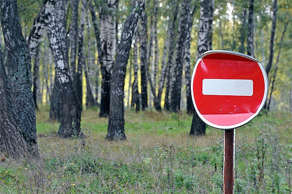 Фото: Иван ПРОХОРОВ.