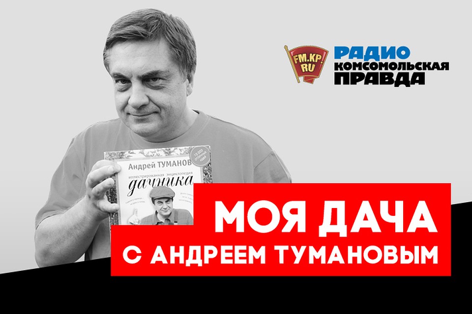 Готовь банки летом: как правильно засолить огурцы на зиму