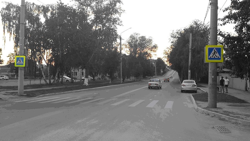 Фото: ГУ МВД по Самарской области
