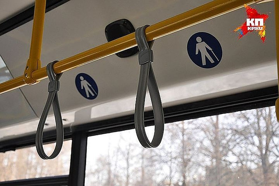 Пришлось проверить четыре автобуса