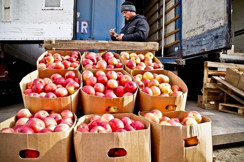 Тонны продуктов пустили под каток
