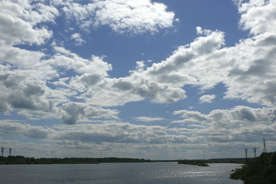 Река Шелонь. Фото: ru.wikipedia.org.