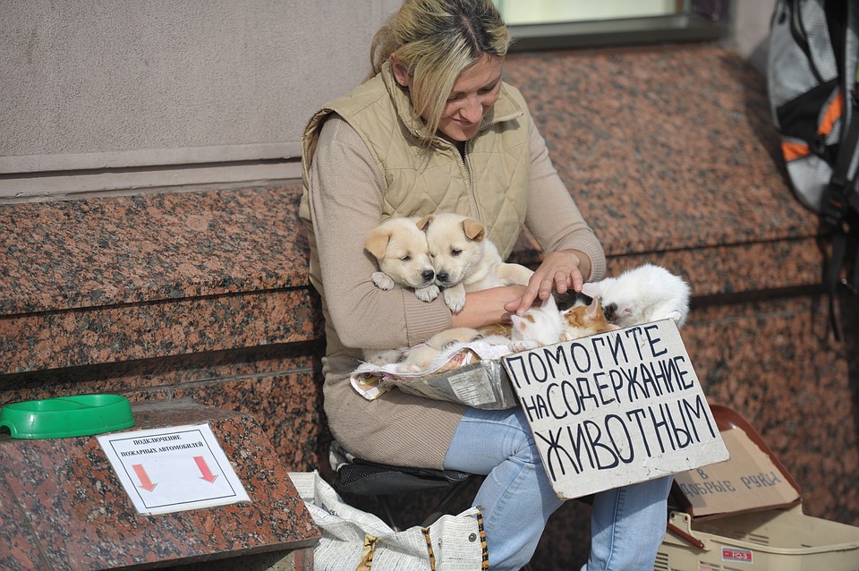 Волонтеры уверяют - ни один честный фонд не собирает деньги на улицах и в метро