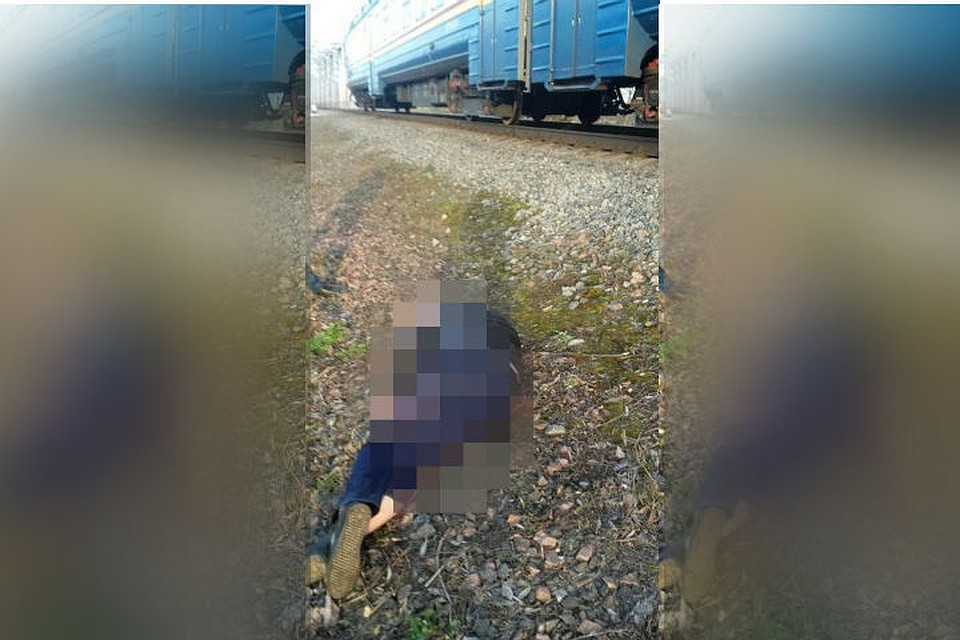 Фото: социальные сети