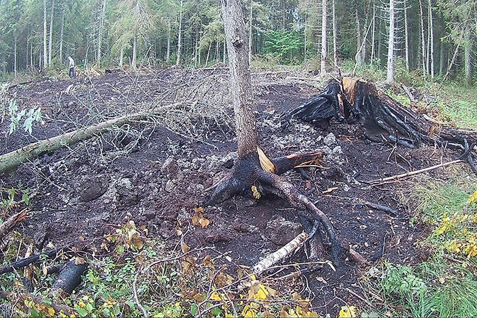 Место падения выпущенной испанским истребителем ракеты пока не обнаружено. Фото: с сайта postimees.ee