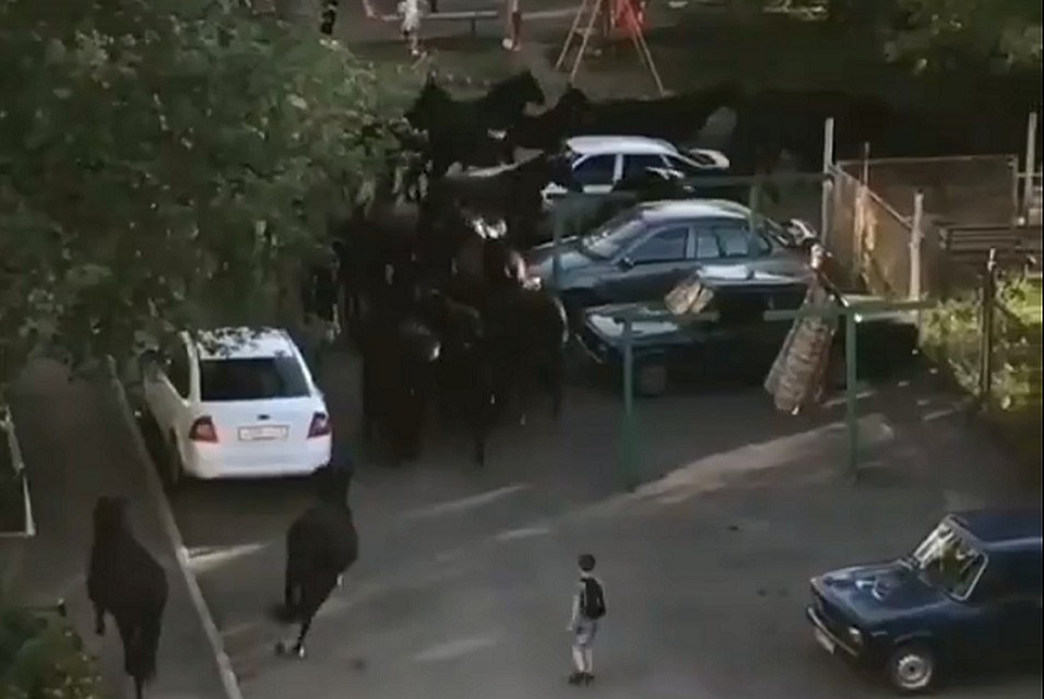 Малыши в испуге разбегаются от лошадей.