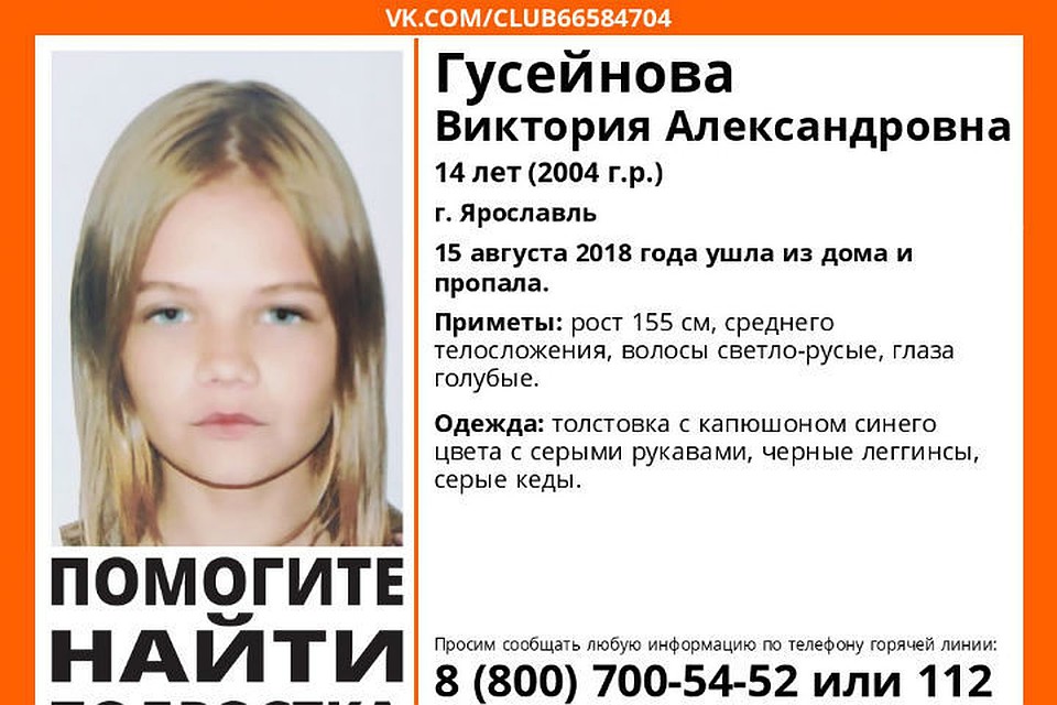 Фото: поисковый отряд "Лиза Алерт".