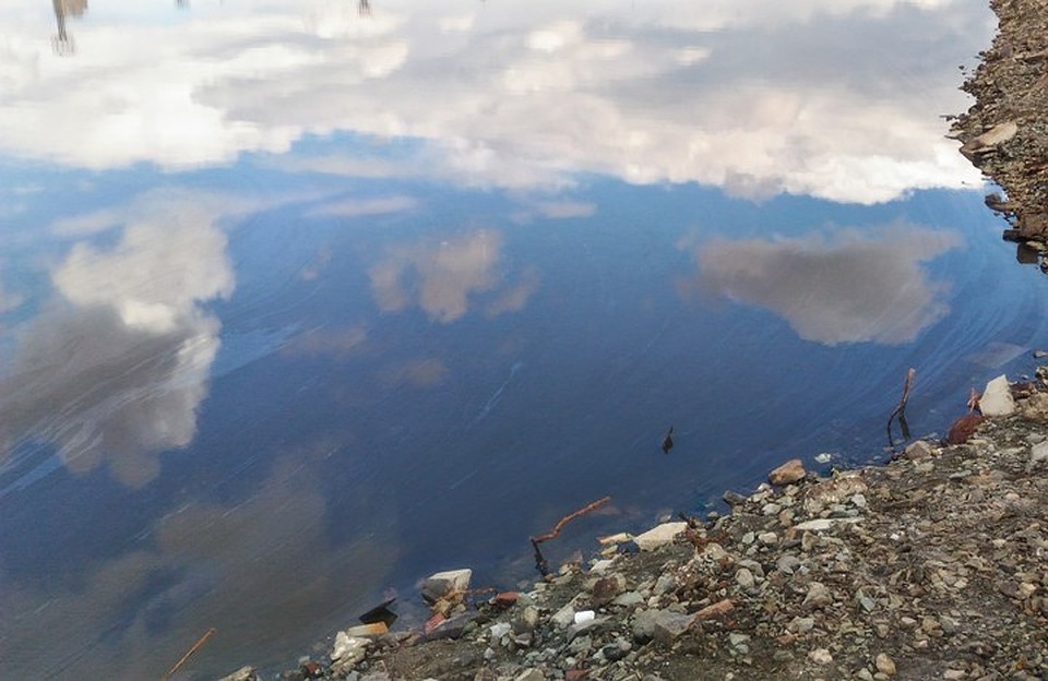 На поверхности воды можно увидеть масляные разводы