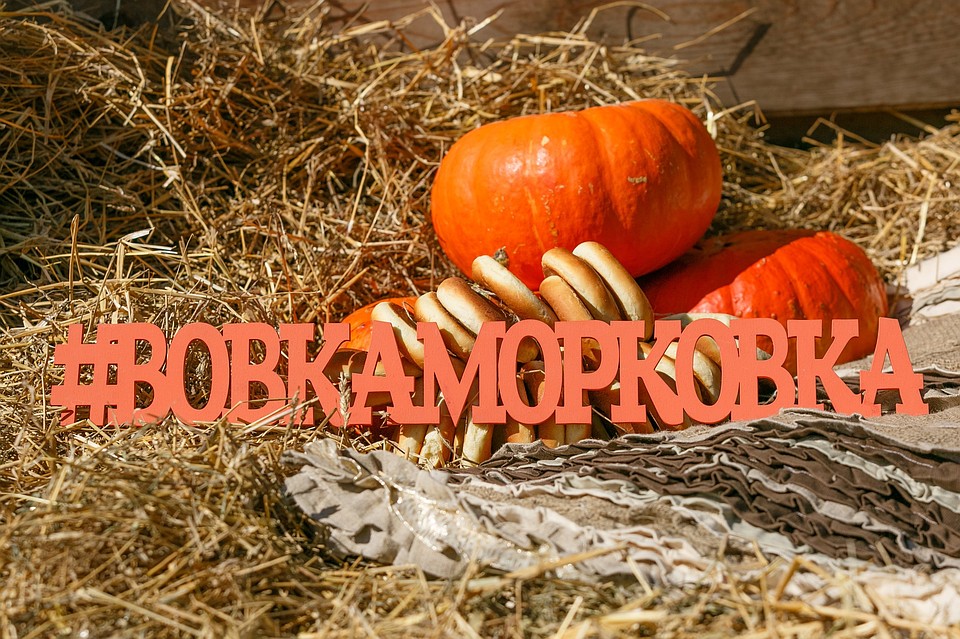 Фото: Вовка-Морковка