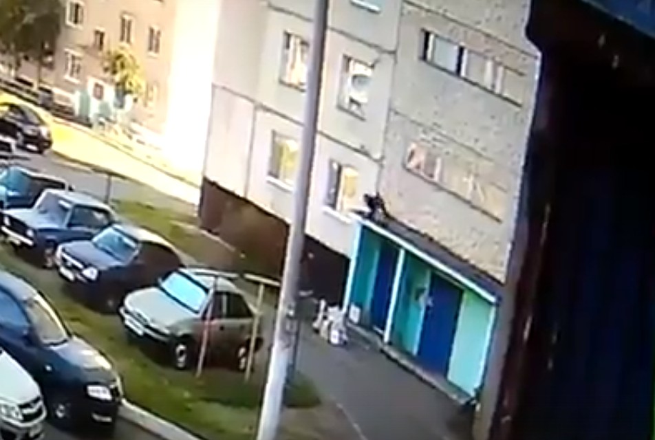 фото: скриншот видео
