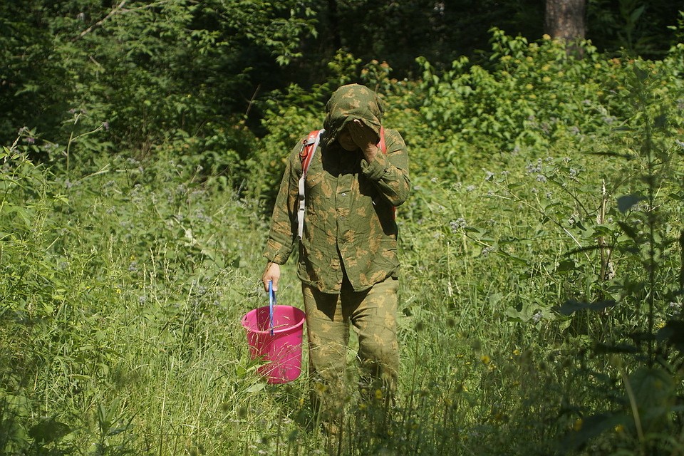 Грибник пропал 29 августа.