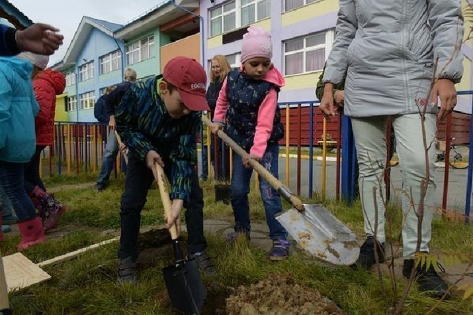 В Салехарде выпускники детсада высадили аллею Фото: правительство ЯНАО