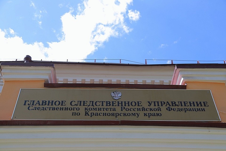 В Ачинске женщина выжила после 37 ударов ножом от сожителя-педофила