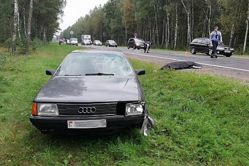 Водитель Audi насмерть сбил велосипедиста, бросил машину и скрылся. Фото: ГАИ