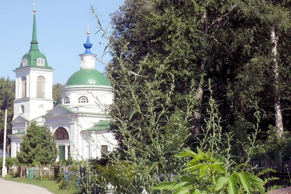 На этом тульском кладбище захоронены останки советских солдат - уроженцев Молдавии. (Фото: newstula.ru).