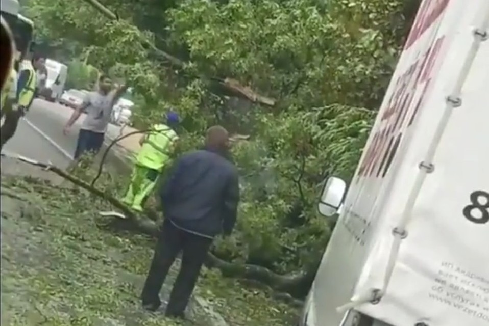 Кадр из видео.