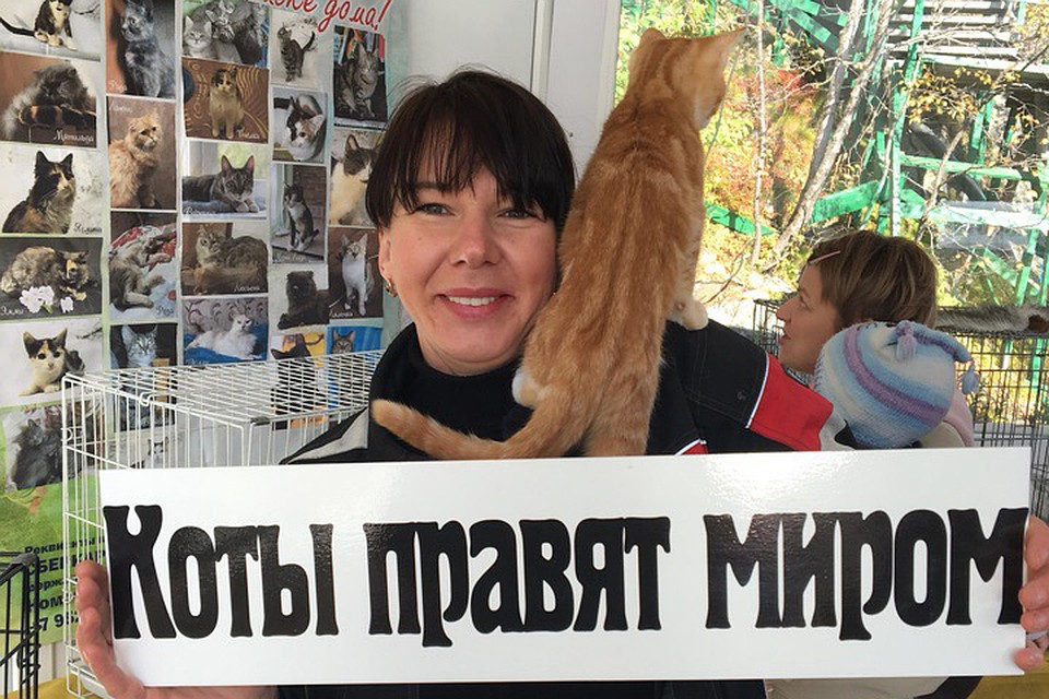 Выставка удалась на славу! Фото: Фонд помощи животным "Путеводная звезда"