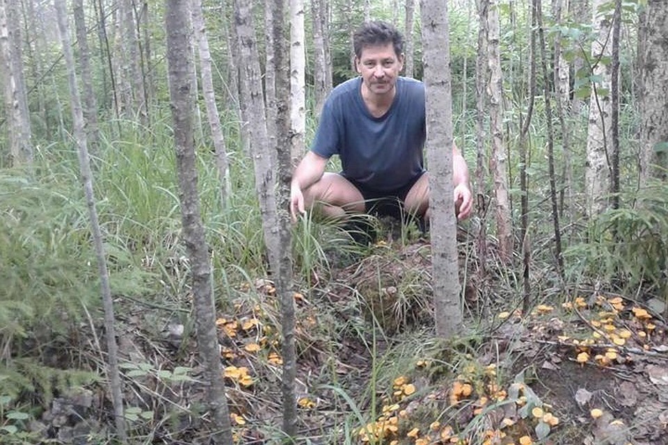 Александр Колесов рассказал про погоду на сентябрь и грибной сезон. Фото: facebook.com/kammeteo