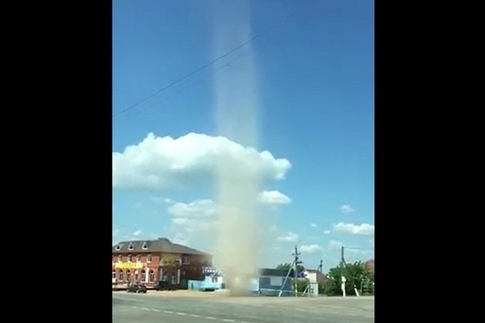 Фото: скриншот видео