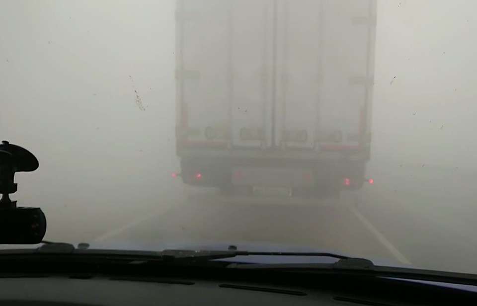 Фото: скриншот с видео