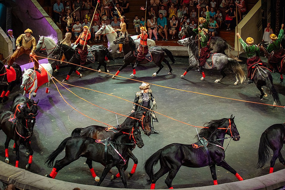 На арене одновременно находятся 25 лошадей. Фото: circus-kirov.ru