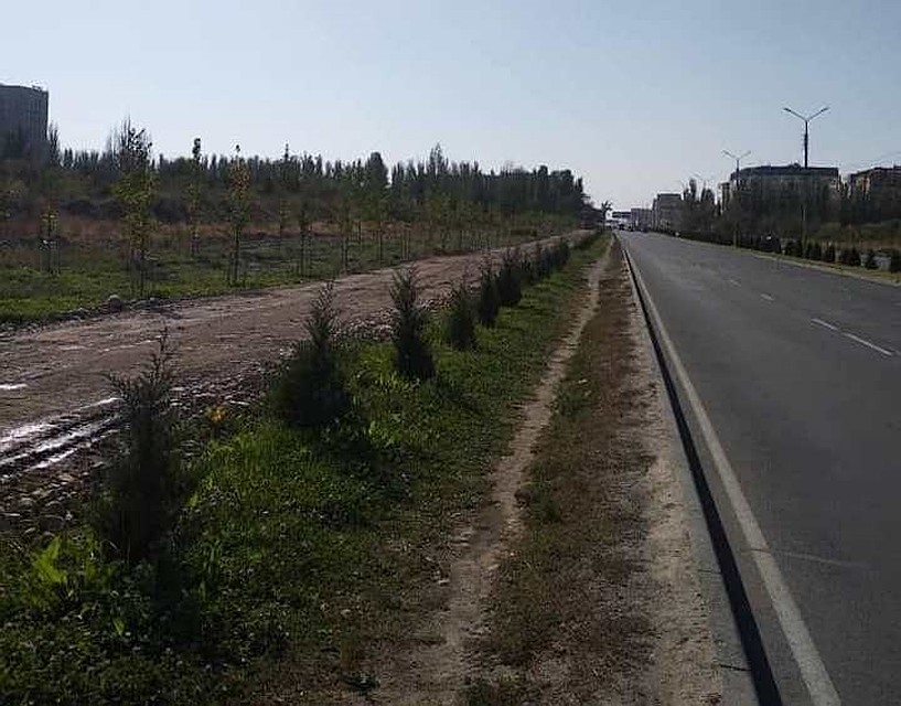 Прогуляться по первой улице, где не будет автомобилей, можно будет уже 1 ноября.