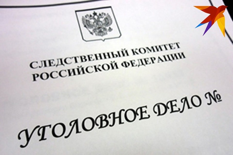 Убийце грозит длительный срок