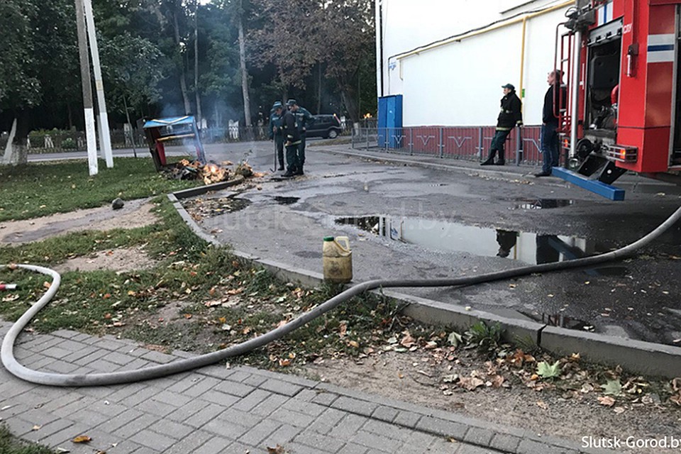 Осы устроили гнездо в старом пне, "замаскированном" под декоративный колодец. Фото: slutsk-gorod.by.