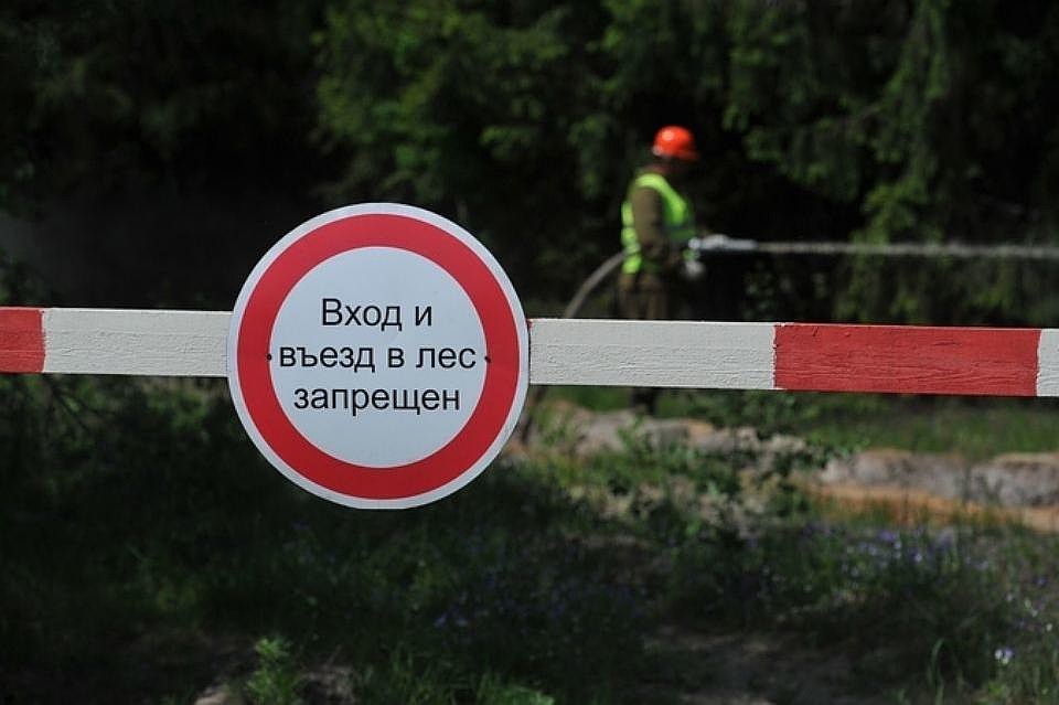 Такие предупреждения и шлагбаумы установили на въездах в леса. Фото: облкомприроды