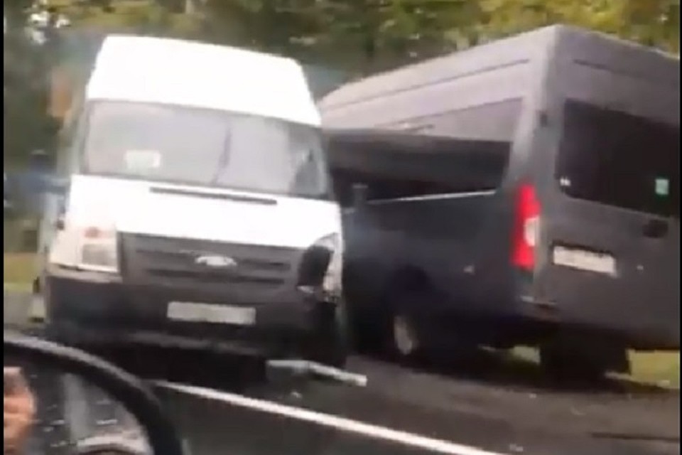 Фото: скриншот с видео