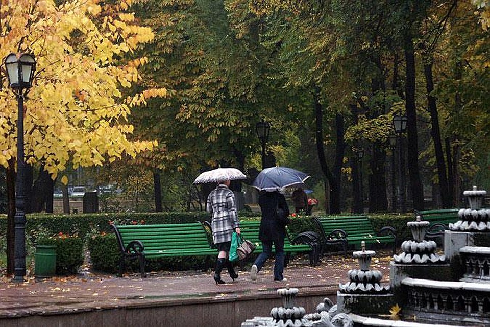 Дожди пройдут на севере и юге.