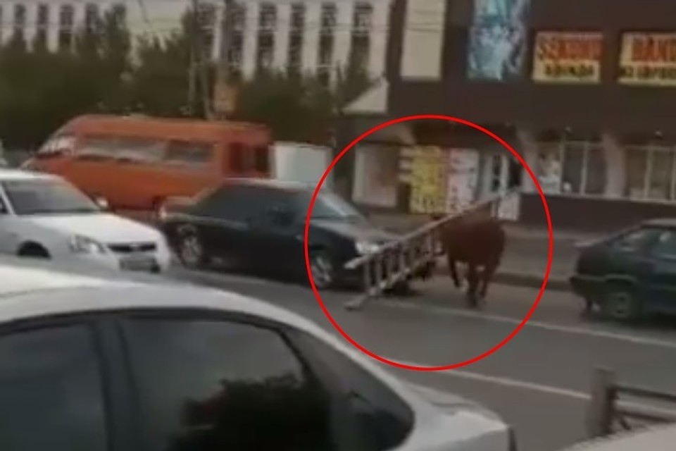 Одних ситуация повеселила, других довела до срыва