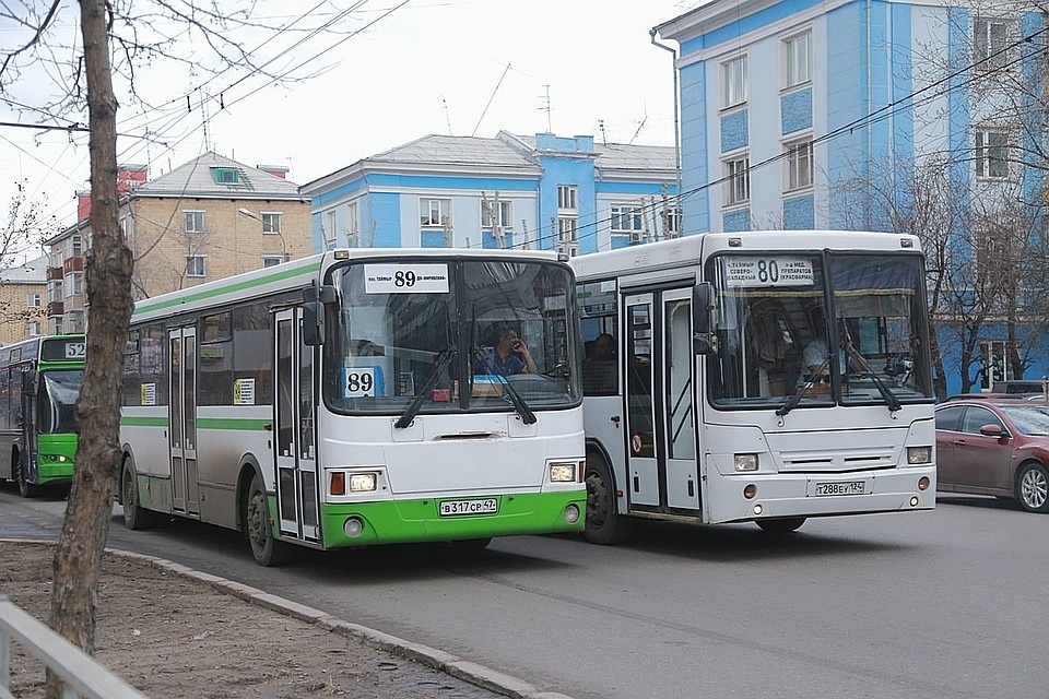 Власти Красноярска отменяют выделенные полосы для автобусов