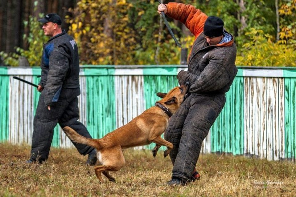 Фото: пресс-служба администрации Кемеровской области