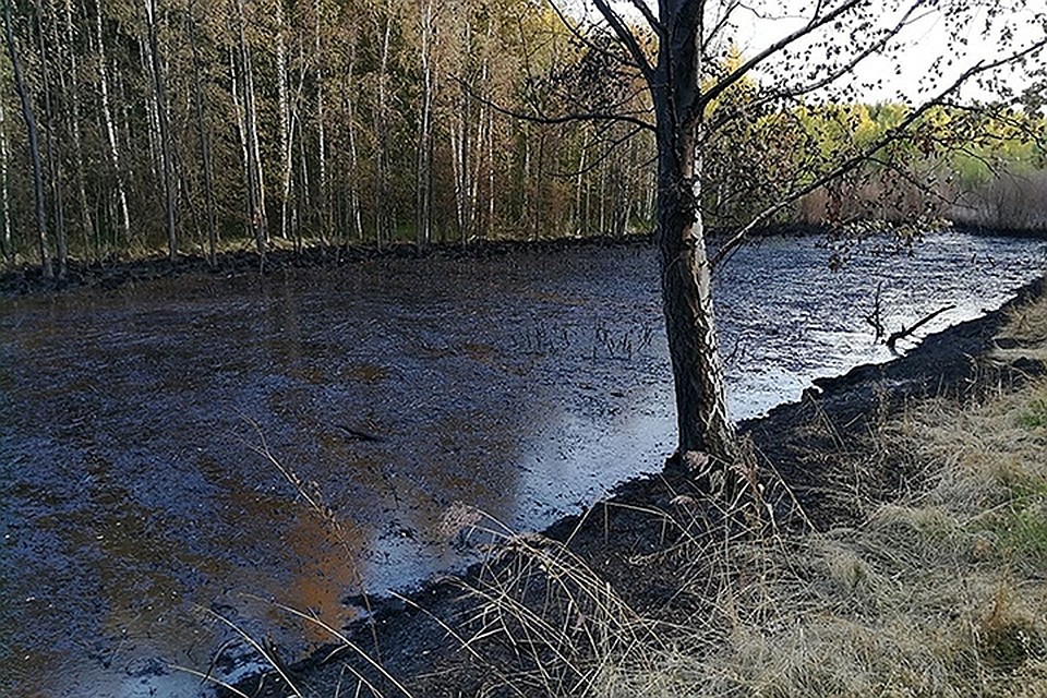 Фото: Анна Головина / facebook.com
