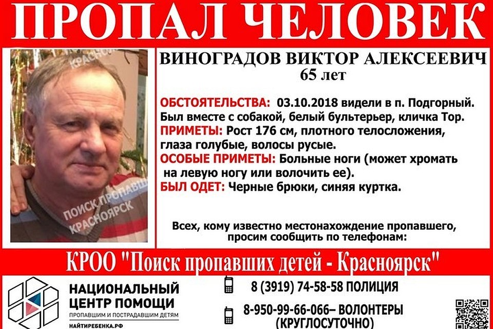 В Красноярском крае пропал пенсионер с белым бультерьером. Ориентировка "Поиск пропавших детей - Красноярск"