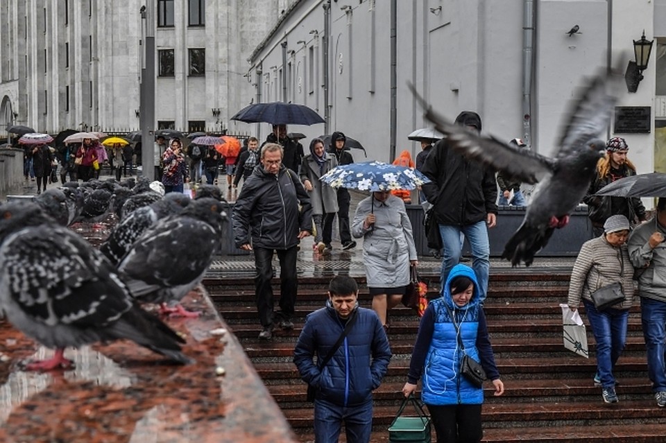Осадков в виде снега пока не ожидается