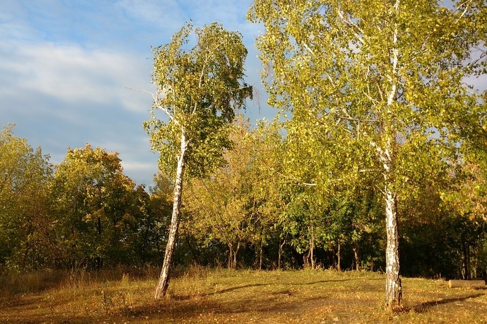 В целом по Татарстану - до 12 градусов тепла.