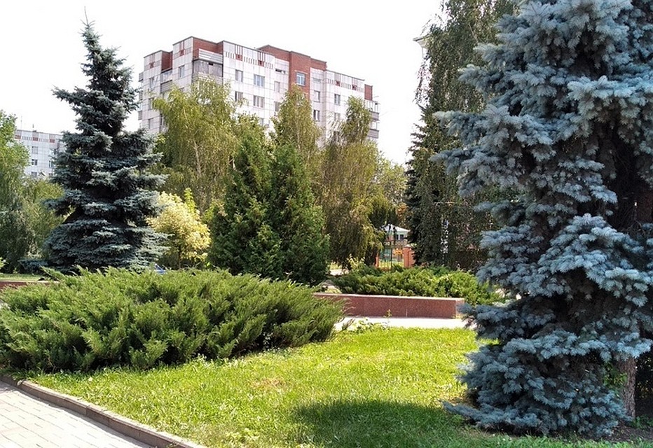 В уборке города просят принять участие всех курян