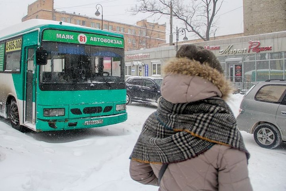 Любой снегопад во Владивостоке становится головной болью горожан и властей