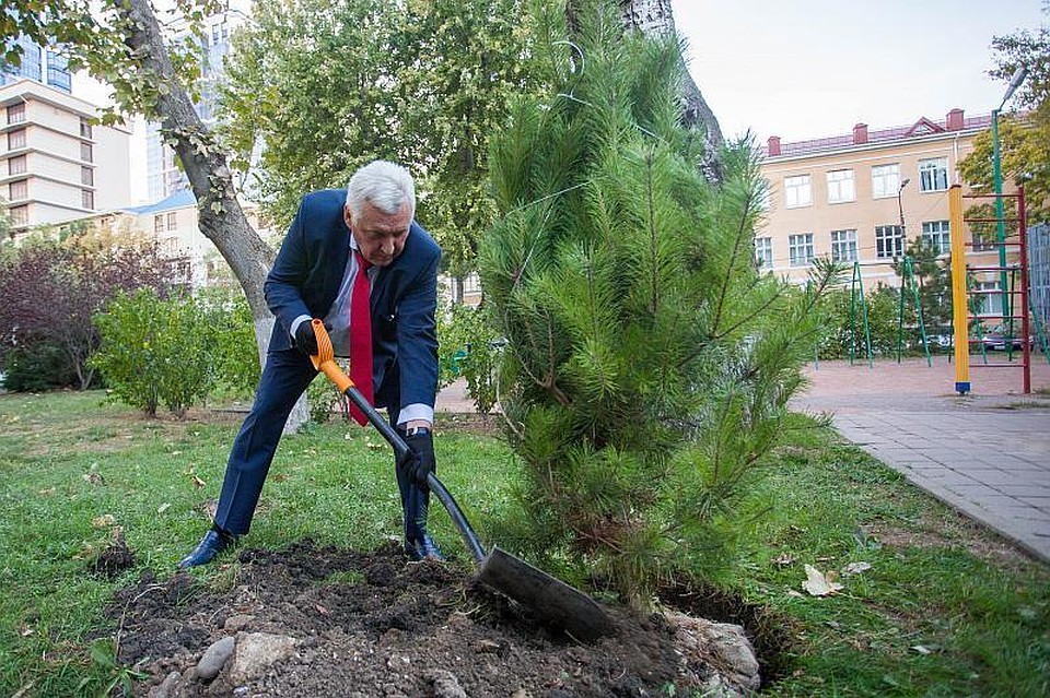 В Анапе взяли курс на озеленение города