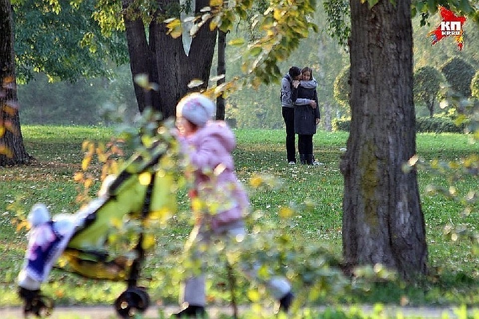 Осень в этом году теплая и красивая