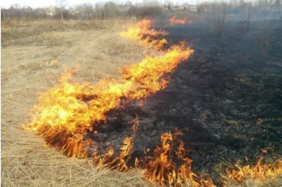 Пожар рядом с коттеджным поселком под Хабаровском: огонь «пожирал» сухую траву