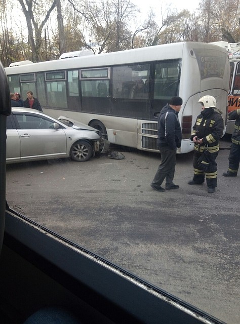 Фото: Дмитрий Пожидаев.