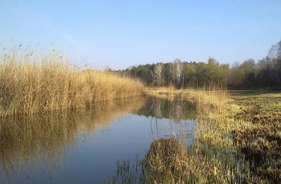 Трагедия произошла на одном из озер Яловенского района. Фото: rybalka.md