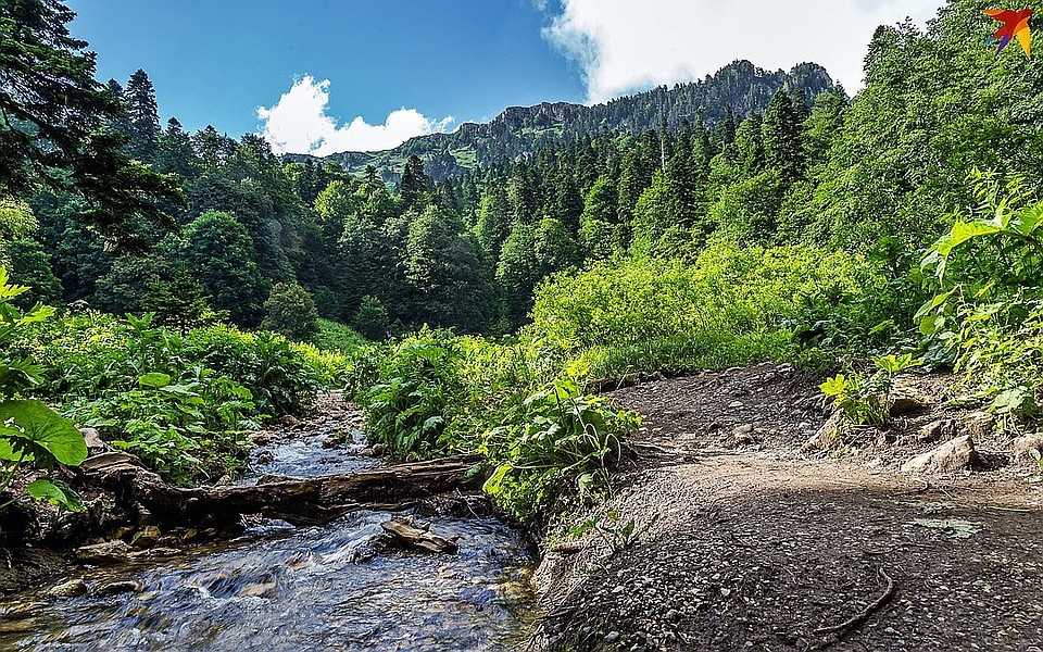В Гуамском ущелье погибла девушка
